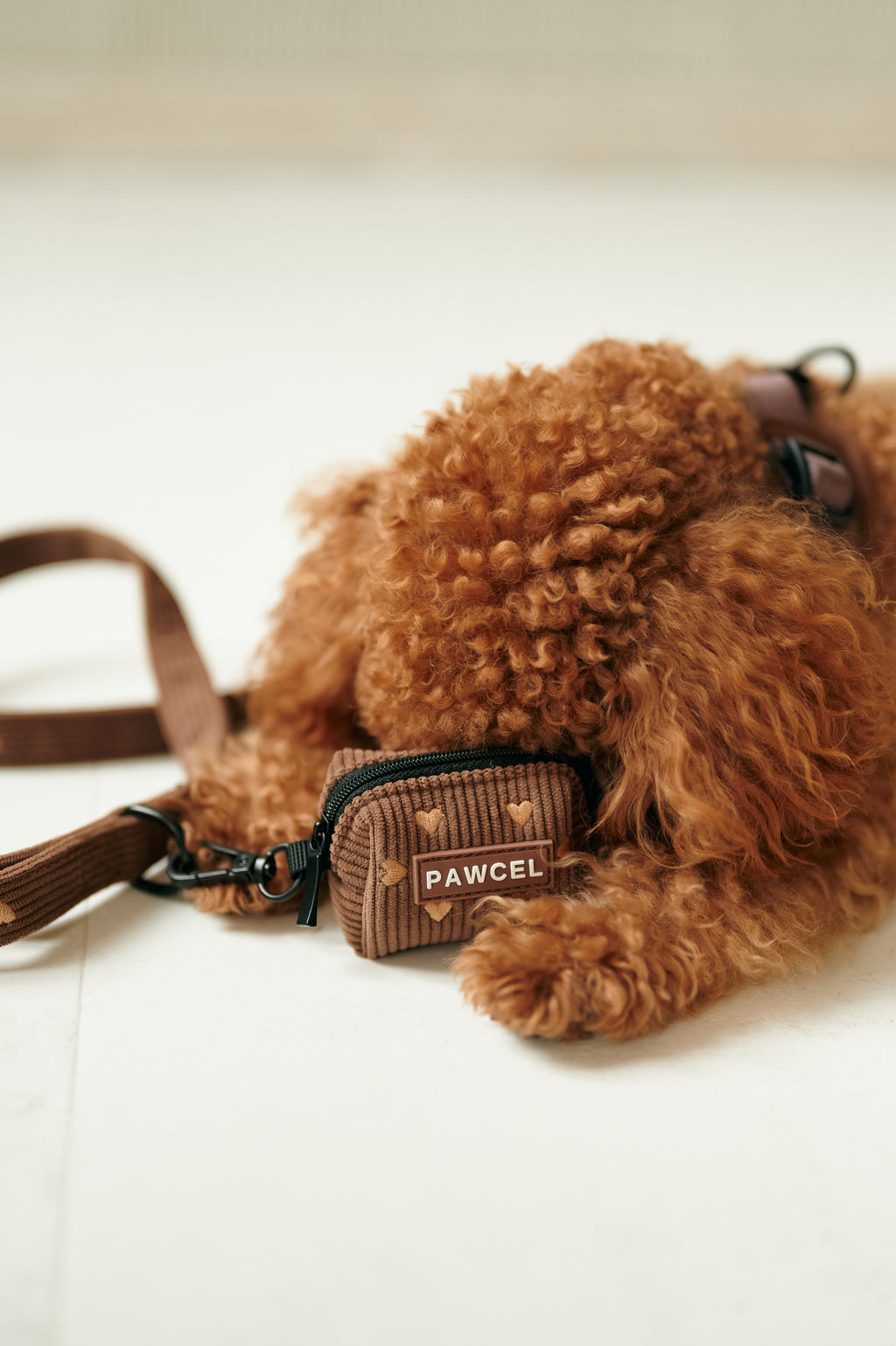 PAWCEL Walking Set — Brown Hearts